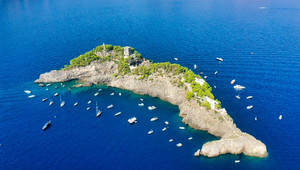 Cận cảnh đảo cá heo độc nhất thế giới, mỗi lần chỉ đón 12 du khách ghé thăm