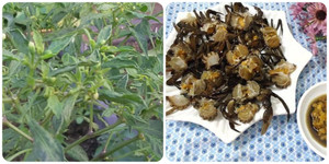 Món canh cua lá ớt có tác dụng gì?