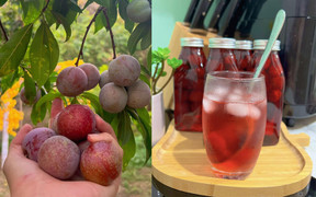 Bỏ túi ngay cách làm siro mận thơm ngon giải nhiệt mùa hè