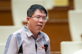 Đại biểu Quốc hội: Nhiều nhà đầu tư năng lượng tái tạo đối diện nguy cơ phá sản