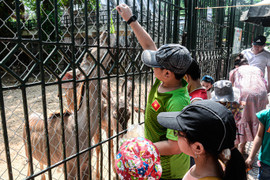 Mặc nắng nóng, phụ huynh tấp nập đưa con đến vườn thú vui chơi dịp 1/6