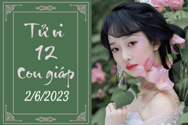 Tử vi vui 12 con giáp hôm nay ngày 2/6/2023: Tuất cẩn thận, Mùi kỹ lưỡng
