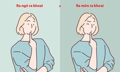Người hiểu biết chưa chắc nói đúng câu thành ngữ này