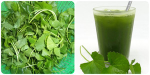 Rau má có tác dụng gì?