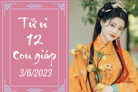Tử vi vui 12 con giáp hôm nay ngày 3/6/2023: Dậu thuận lợi, Ngọ may mắn