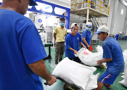 Bộ trưởng Đào Ngọc Dung nêu 5 giải pháp để hạn chế rút bảo hiểm xã hội 1 lần