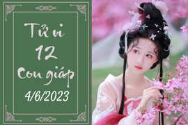 Tử vi vui 12 con giáp hôm nay ngày 4/6/2023: Dậu thông minh, Sửu bận rộn
