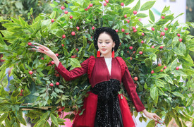 Độc đáo show thời trang chủ đề tôn vinh vải thiều Bắc Giang