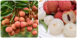 Nên ăn bao nhiêu quả vải một ngày?