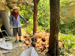 Thảm cảnh khủng khiếp 'mùa mất điện'