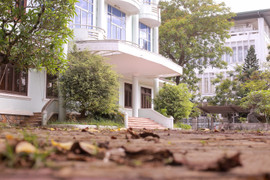 Cận cảnh loạt nhà công sản bỏ hoang trên khu đất vàng trung tâm TP Huế