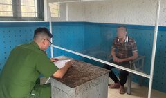 Tạm giam quản lý đội xe sử dụng tem kiểm định giả