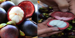 Cách bóc vỏ măng cụt dễ dàng, không cần dùng dao
