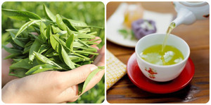 Cách uống chè xanh tươi đúng cách, tốt cho sức khỏe