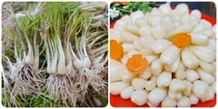 Củ kiệu có tác dụng gì?