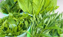 Đặc điểm nhận biết rau có thuốc trừ sâu