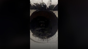 Người đàn ông cứu gấu con mắc kẹt trong ống khói