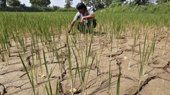 Hiện tượng El Nino xuất hiện tác động thế nào đến thời tiết trên thế giới?