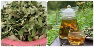 Nước lá sen có công dụng gì?