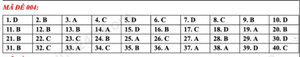 Gợi ý đáp án đề thi tiếng Anh vào lớp 10 Hà Nội mã đề 004