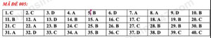 Gợi ý đáp án đề thi tiếng Anh vào lớp 10 Hà Nội mã đề 005