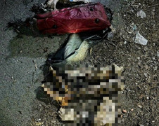 Vụ án phân xác ở Bình Dương: Không loại trừ nạn nhân là người nước ngoài