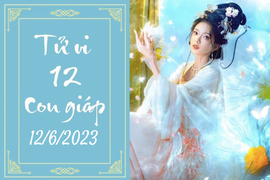 Tử vi vui 12 con giáp hôm nay ngày 12/6/2023: Tỵ ổn định, Mùi thích nghi