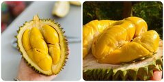 Ăn sầu riêng có nóng không?
