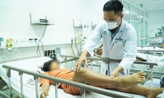 Không xác định được nguồn gốc thực phẩm khiến 6 người ngộ độc botulinum