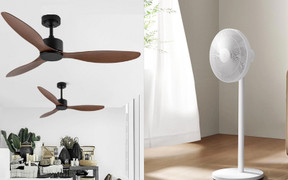  Mùa hè nên dùng quạt cây hay quạt trần?