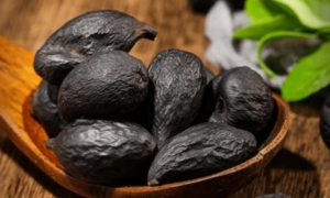 Hé lộ cây nấm như quả trứng đen, vài triệu 1 lạng nhưng người đào được không bán