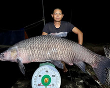 Cần thủ ở Nghệ An chinh phục 'thủy quái' nặng hơn 40 kg ở đập thủy lợi