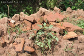 Hà Nội: Đề xuất khai quật khẩn cấp mộ gạch mới phát hiện ở Đan Phượng