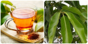 Nước lá vối để qua đêm có uống được không?