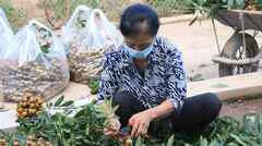Những ai không nên ăn nhãn?