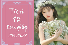 Tử vi vui 12 con giáp hôm nay ngày 20/6/2023: Thìn mạnh mẽ, Thân nỗ lực