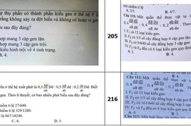 Xét xử 2 giáo viên liên quan vụ lộ đề thi tốt nghiệp THPT năm 2021