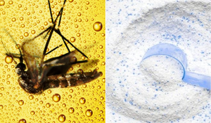 Trộn bột giặt với bia có công dụng gì?