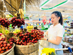 Saigon Co.op tưng bừng tổ chức Ngày hội Gia đình Việt Nam 28/6