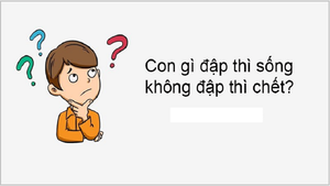 Câu đố hack não : 90% người xem không đoán ra