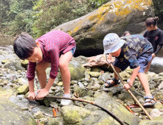 Mùa hè có phải học kỳ 3?