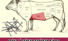 Người tinh tế sẽ đoán ra tên tỉnh này trong 1 phút