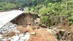 Sạt lở trên tuyến đường du lịch bán đảo Sơn Trà: Đà Nẵng khẩn trương khắc phục