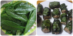 Lá xương sông có tác dụng gì?