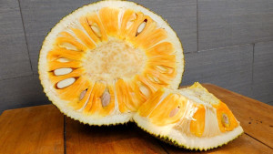 Mẹo hay làm sạch nhựa mít dính trên tay, dao và quần áo cực nhanh 