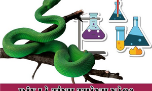 Đố bạn đoán ra tên của tỉnh này trong 2 phút