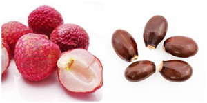 Những công dụng bất ngờ của hạt quả vải với sức khỏe