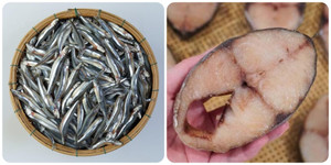 Các loại cá biển tốt cho sức khỏe nên mua khi đi chợ