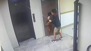 Chú chó bị thang máy nhấc bổng, thanh niên nhanh trí giải cứu