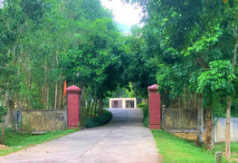 Phá két sắt lâm trường ở Quảng Bình, lấy trộm 500 triệu đồng